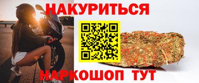 сатива Заводоуковск