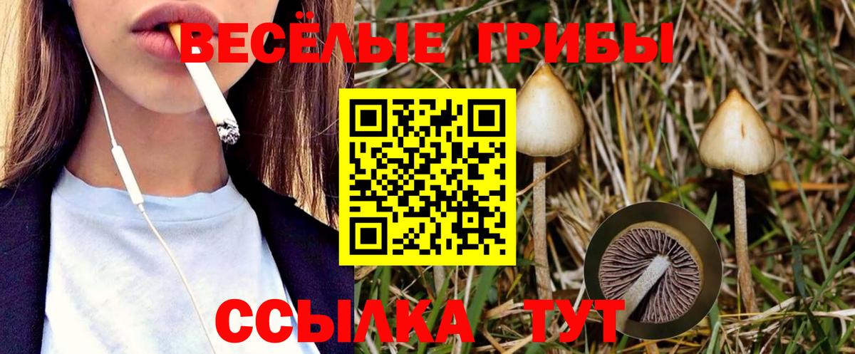 Галлюциногенные грибы Psilocybe  Псилоцибиновые грибы мицелий  Вход с VPN  Иваново 